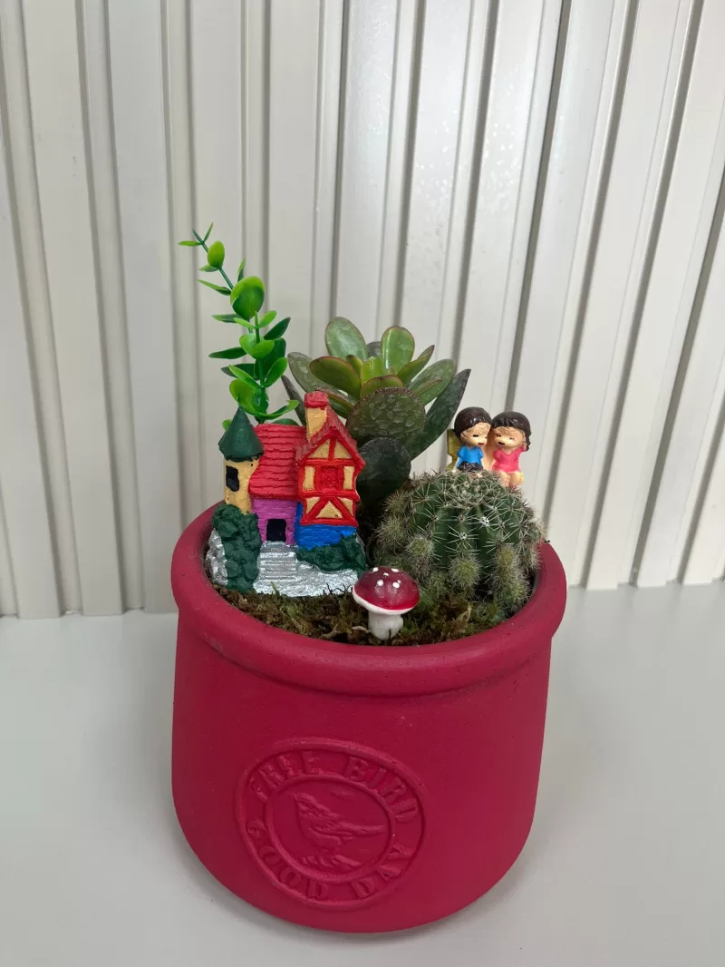 SERAMİK SAKSIDA TERARYUM NO:1