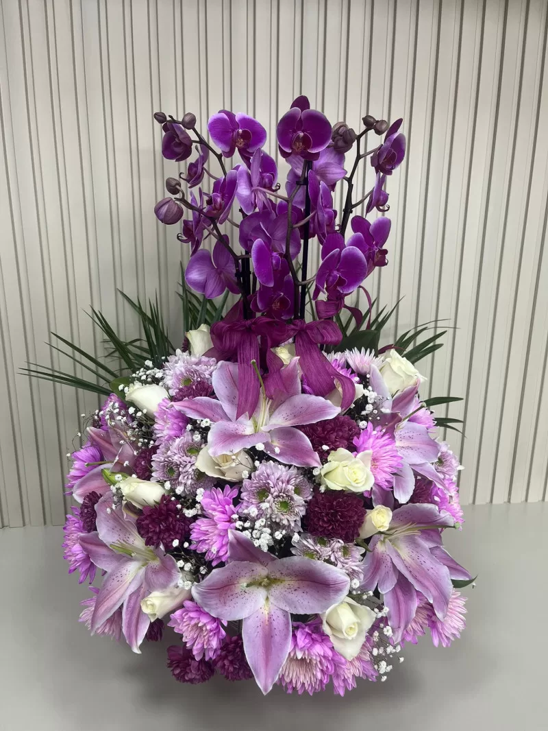 ÇİF DAL MOR ORKİDE ARANJMANI