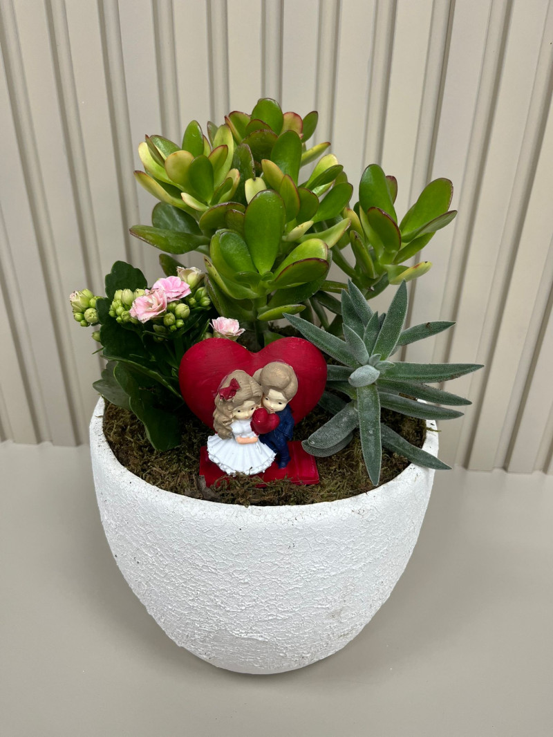 BEYAZ SERAMİKTE TERARYUM