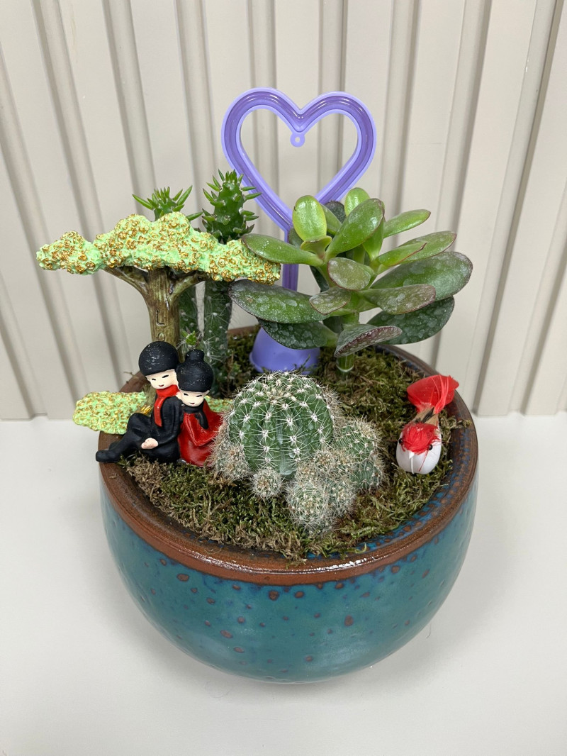 ESKİTME SAKSIDA TERARYUM