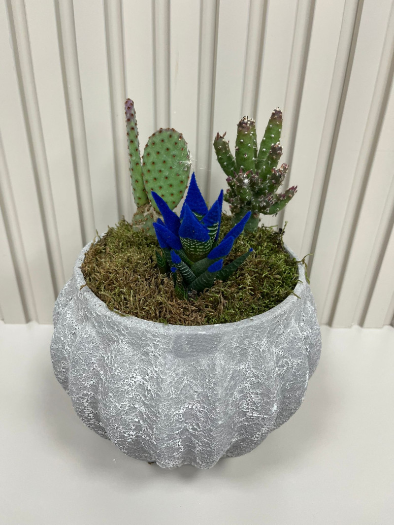 SERAMİKTE TERARYUM NO:1