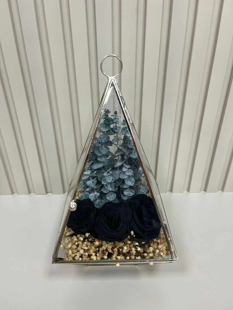 PİRAMİTTE SOLMAYAN SİYAH GÜLLER