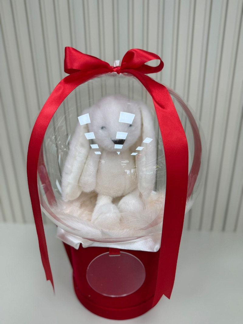 KIRMIZI KADİFE KUTUDA AYICIKLI BALON NO:1