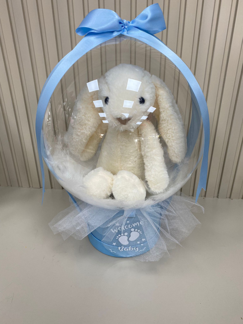 ERKEK BEBEK FANUS BALON