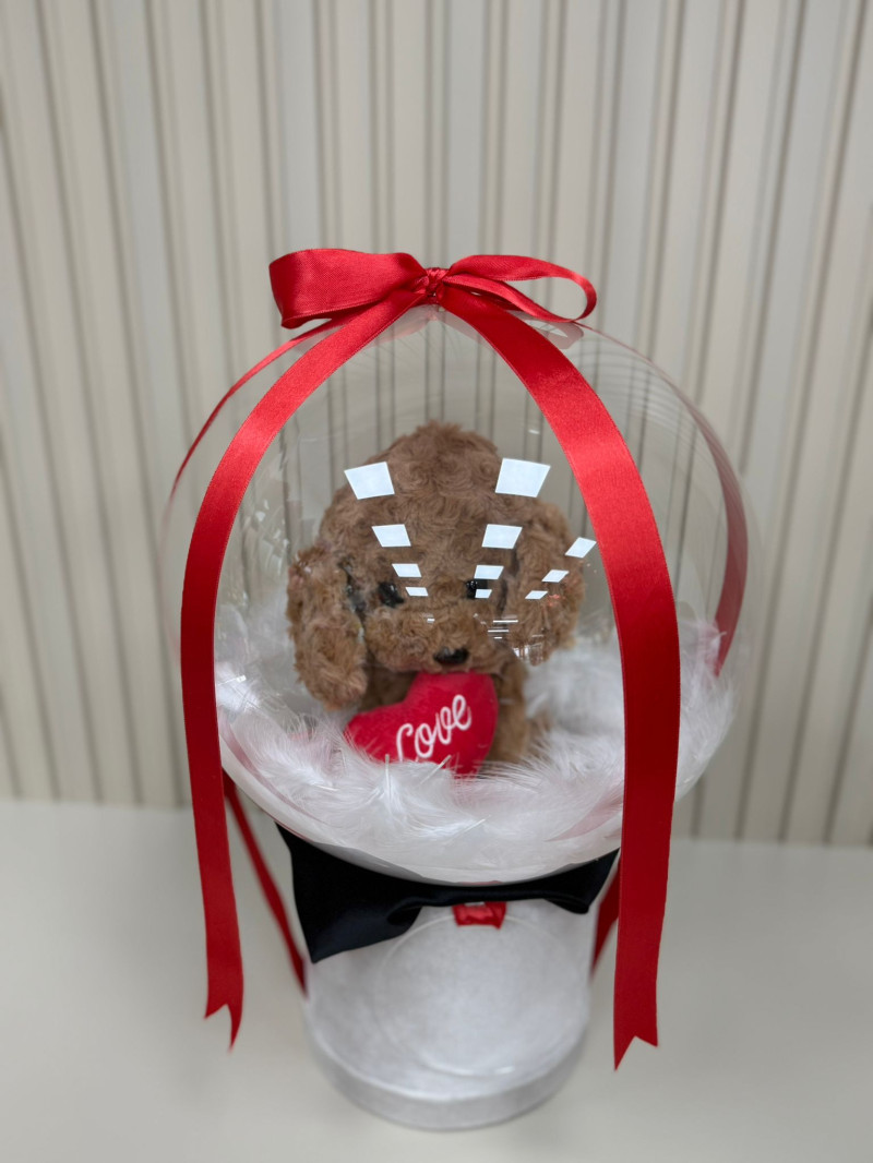 KADİFE KUTUDA TUTKU TASARAMI NO:1