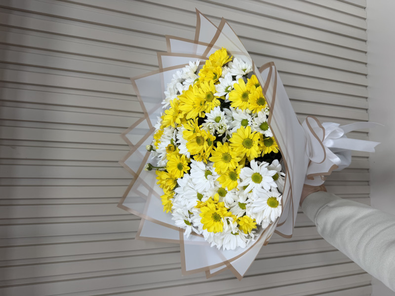 RENKLİ KIR PAPATYASI