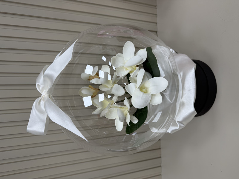 Lotus White Signature